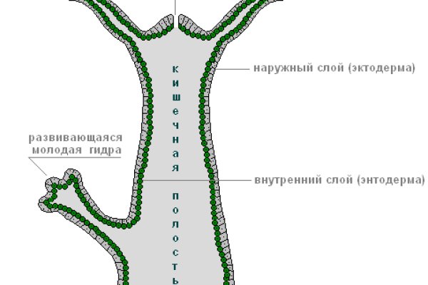 Kraken маркетплейс kr2web in