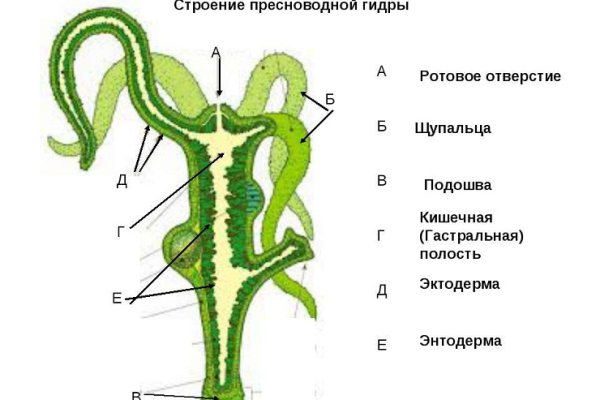 Вход в кракен