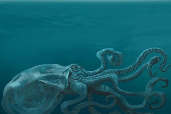 Кракен сайт 1kraken me